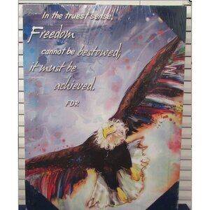 Inspirational/Patriotic Textured American Eagle Print w/FDR Quote Box Frame